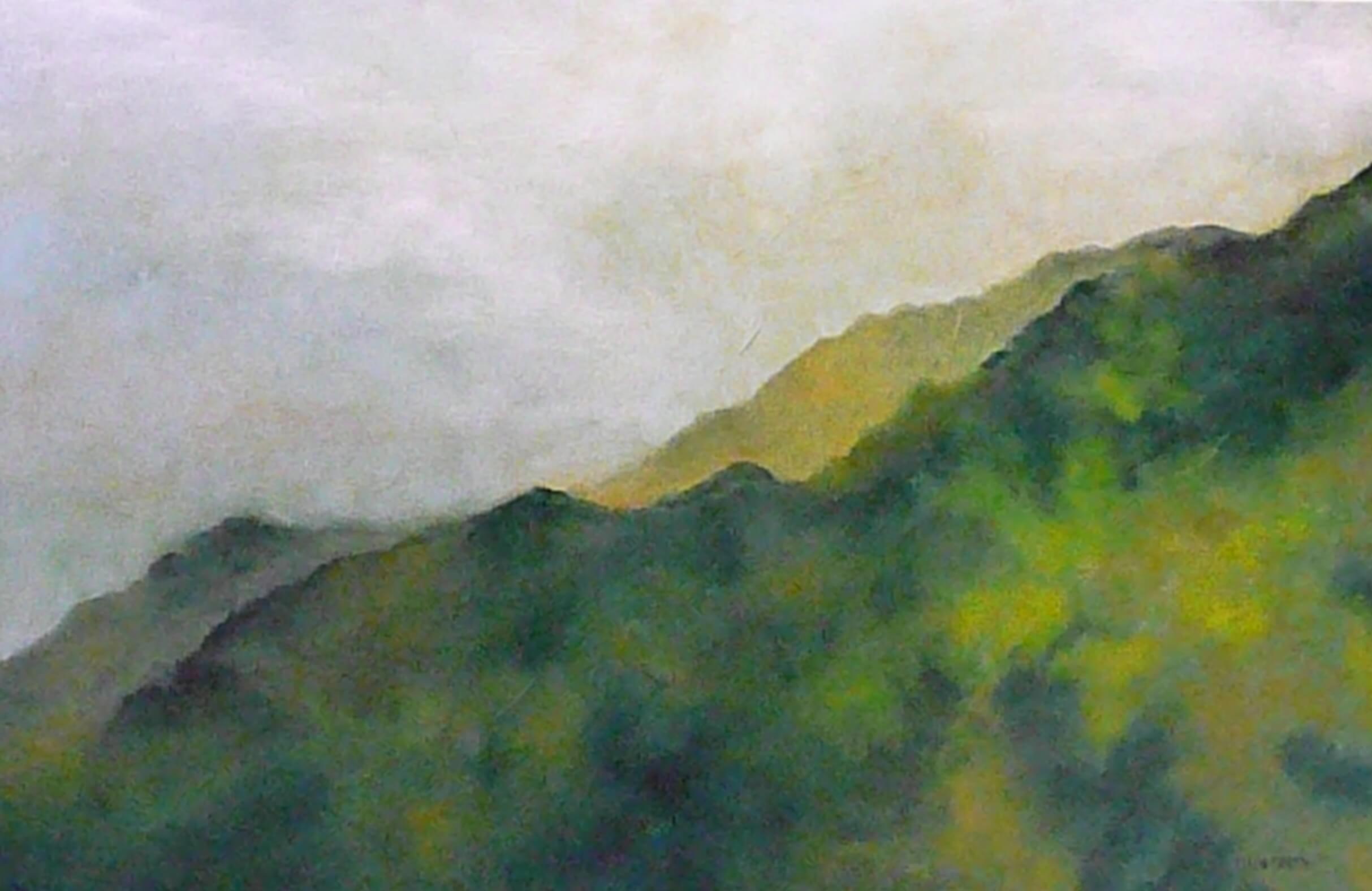 Portfolio Image